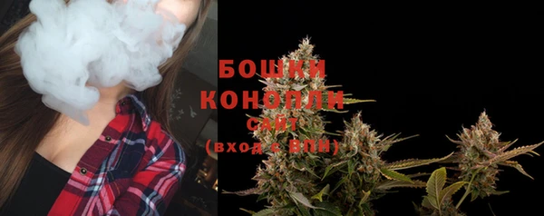MESCALINE Коряжма
